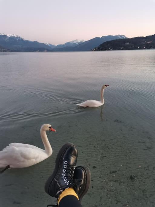 Cocon A La Campagne,Proche Annecy Apartment Alby-sur-Cheran Екстериор снимка